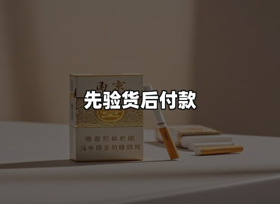 专业优势